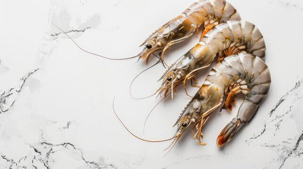 Large Tiger Shrimps 1.5 kg